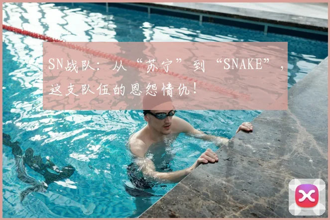 SN战队：从“苏宁”到“SNAKE”，这支队伍的恩怨情仇！