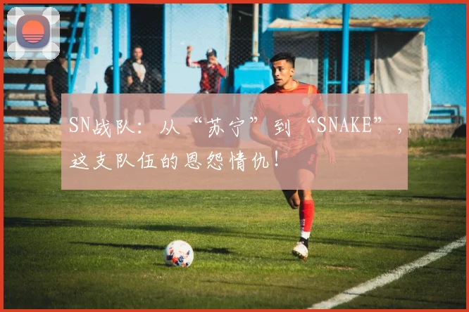SN战队:从“苏宁”到“SNAKE”,这支队伍的恩怨情仇!